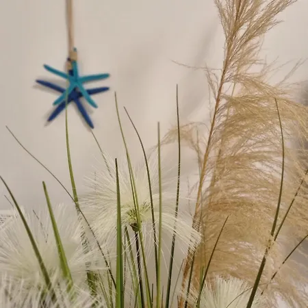 Morski - Olimpijska 2, Mielno (Koszalin)